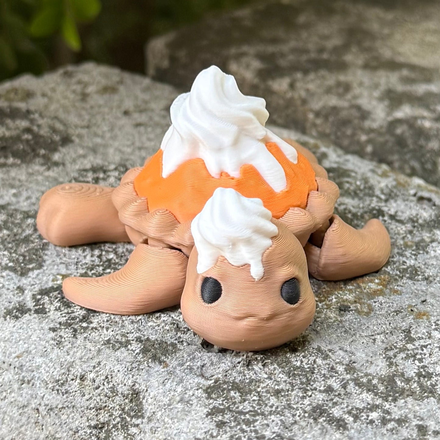 Pumpkin Pie Turtle