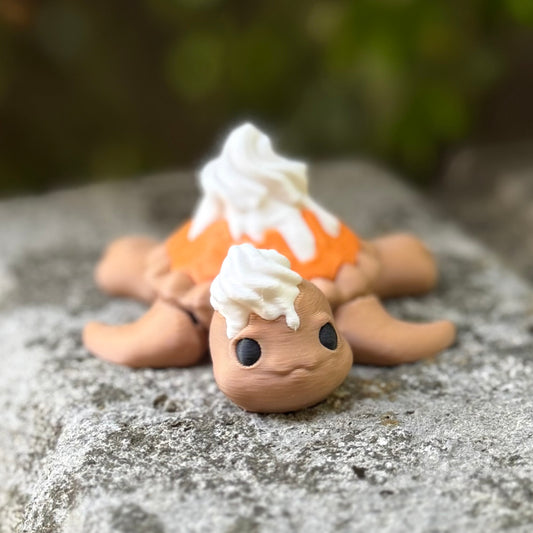 Pumpkin Pie Turtle