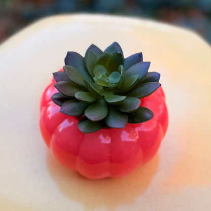 Faux Succulent Decorative Pumpkin