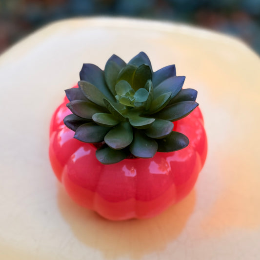 Faux Succulent Decorative Pumpkin