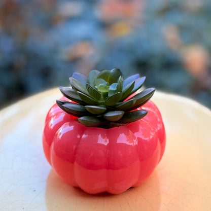 Faux Succulent Decorative Pumpkin