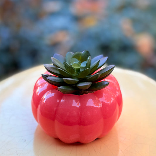 Faux Succulent Decorative Pumpkin